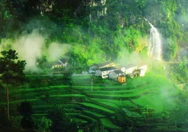 逃离水虎鱼湖